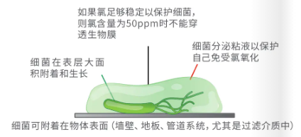 濾料,泳池水處理,低氯,泳池運營